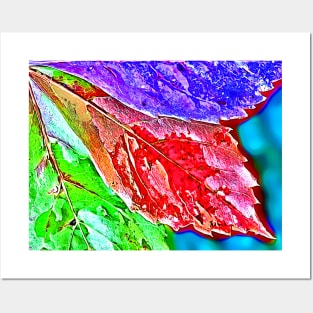 Virginia Creeper Leaves Posters and Art